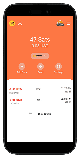 IBI wallet